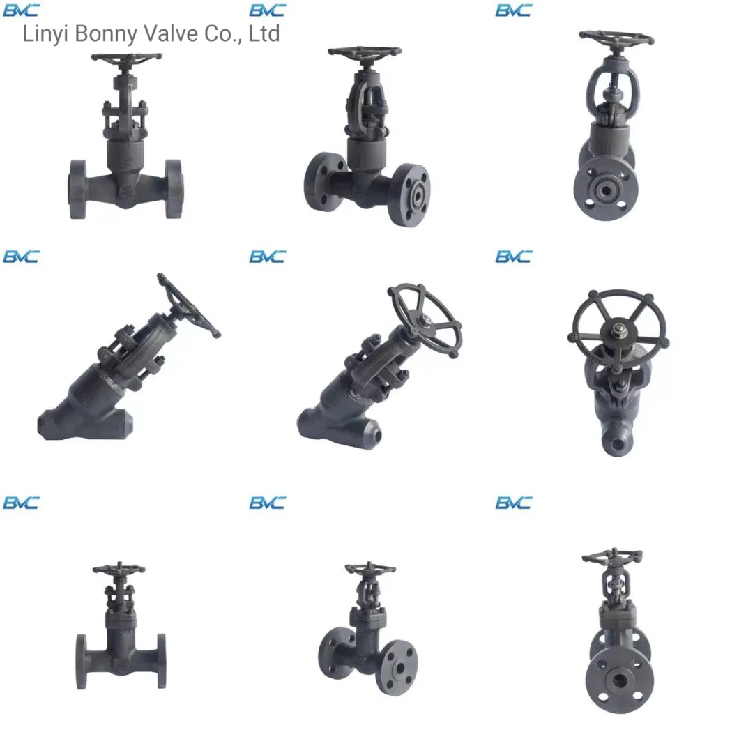 Forged Steel A105/Lf2/F11/F304/F316/F321 Flange & Thread & Butt Weld & Socket Weld Gate Valve