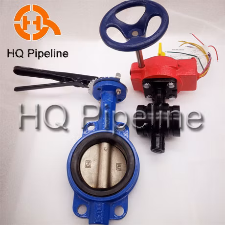 Wafer/Lug/Swing/Grooved End Flanged Type Cast Iron/Stainless Steel Butterfly/Check/Ball Valve for Water Fire Fighting