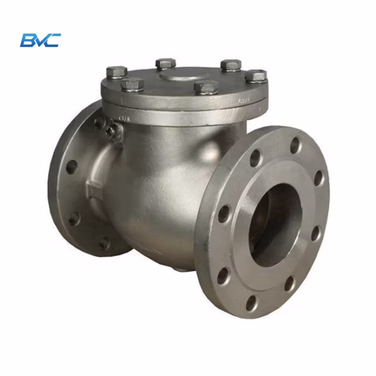 Valvola di ritegno a flangia flangiata Classe 300